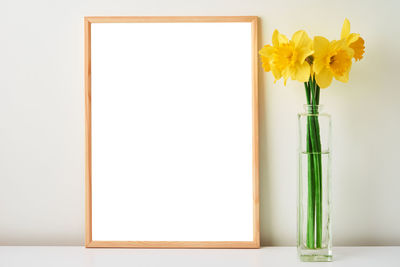 Close-up of yellow flower vase against white background