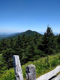Scenic view of landscape against clear blue sky