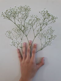 Close-up of woman hand against white background