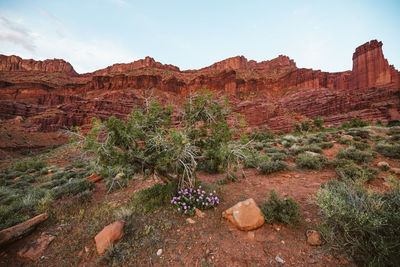 View of rock formations