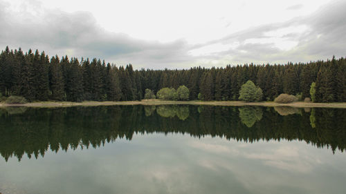 Scenic view of lake by trees against sky