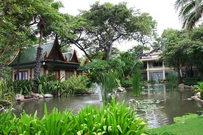 Plants and trees by lake against building