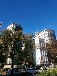 Trees in city against clear blue sky