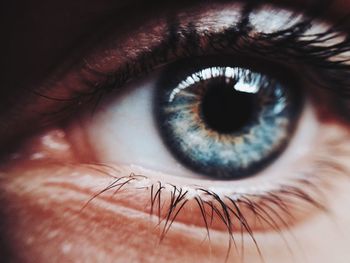 Extreme close-up of person eye