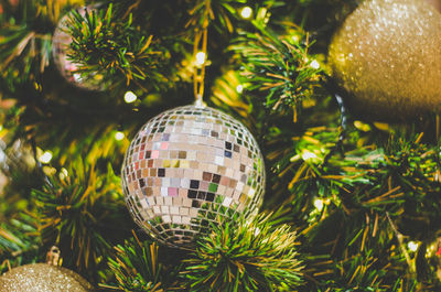 Close-up of christmas decorations hanging on tree