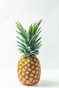 Close-up of fruit against white background