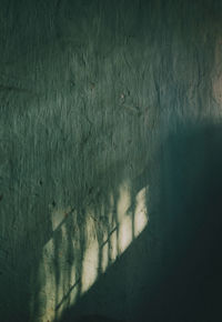 shadow