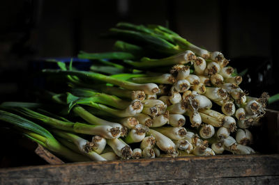 Close-up of vegetables