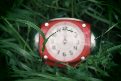 Close-up of clock on grass