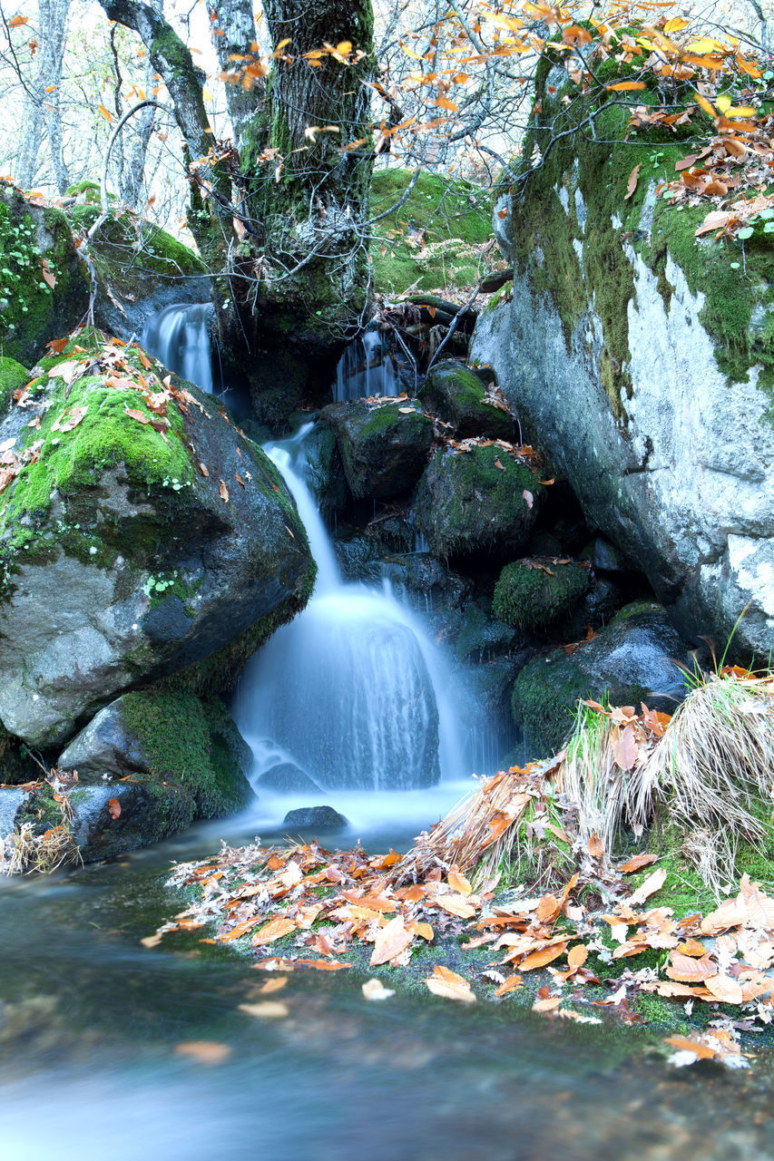 SCENIC VIEW OF WATERFALL