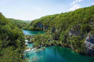 Scenic view of lake in forest against sky