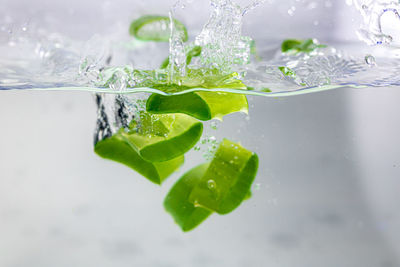 Close-up of water splashing on glass