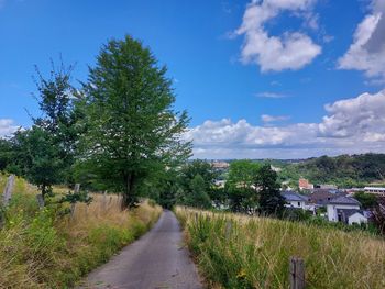 Road amidst trees and buildings against sky