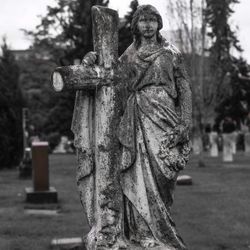 Close-up of cross on tree trunk