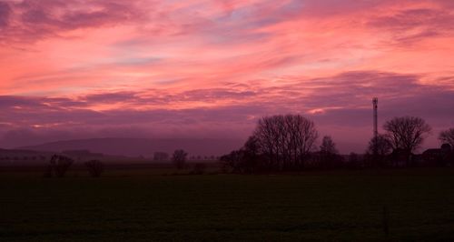 Silhouette trees on field against sky during sunset