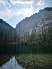 Scenic view of lake by trees against sky