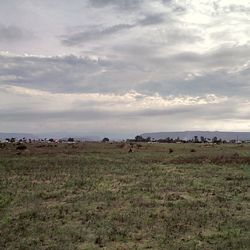 Scenic view of grassy field against cloudy sky