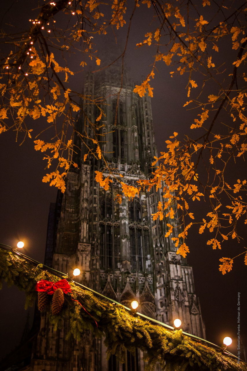 illuminated, night, building exterior, architecture, built structure, city, tree, skyscraper, tower, lighting equipment, tall - high, branch, sky, modern, low angle view, cityscape, travel destinations, capital cities, light - natural phenomenon, street light