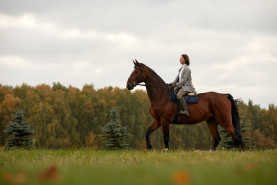 Horse standing on field against sky