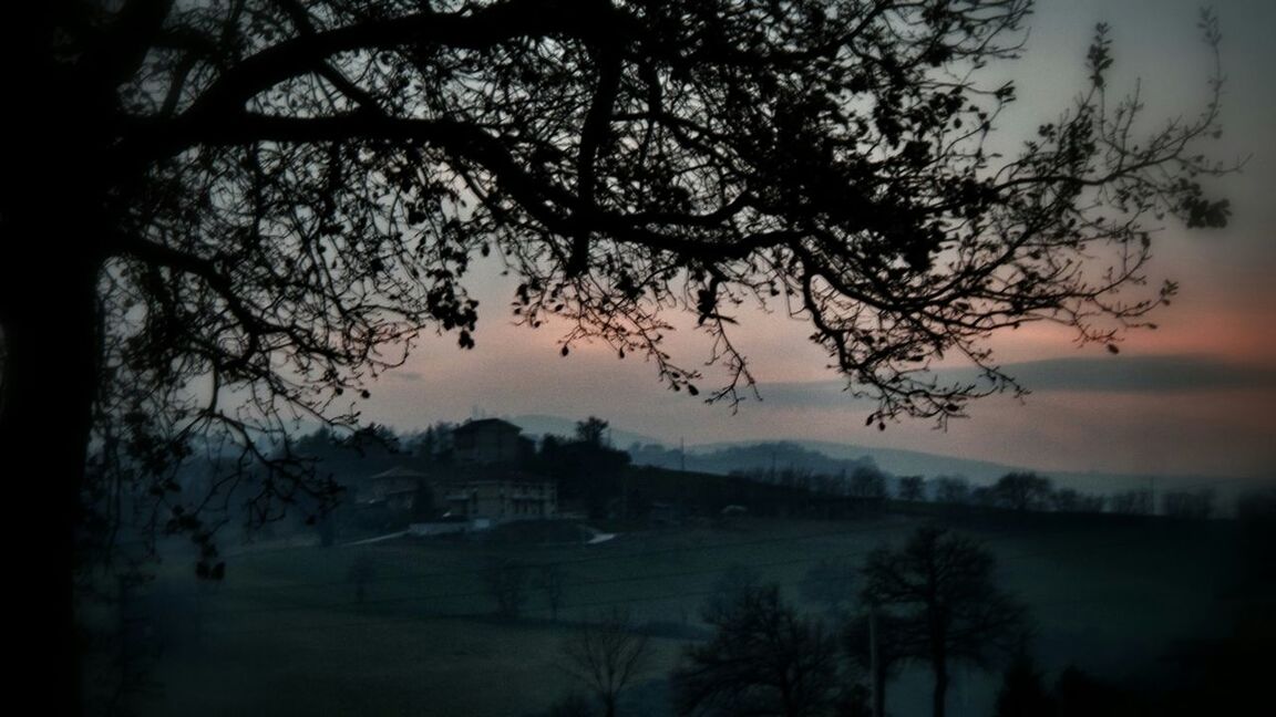 bare tree, tree, building exterior, built structure, architecture, branch, landscape, field, house, weather, nature, tranquility, sunset, dusk, sky, silhouette, tranquil scene, fog, outdoors, no people