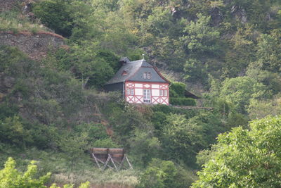 House amidst trees and plants in forest