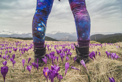 Low section of woman standing on field