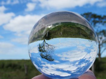 Close-up of hand holding glass with reflection of trees