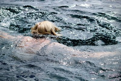 Rear view of man swimming in sea