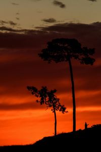 Silhouette trees on field against romantic sky at sunset