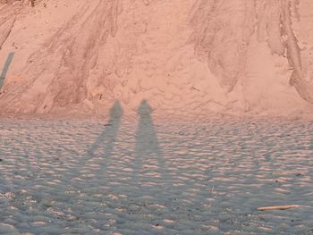 Shadow of people on snow covered land