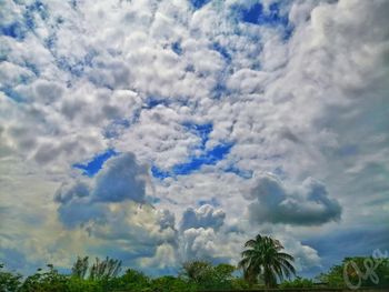 Low angle view of trees against cloudy sky