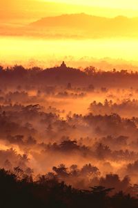 Misty borobudur temple.