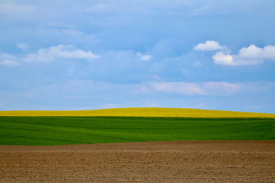 Scenic view of agricultural field against sky