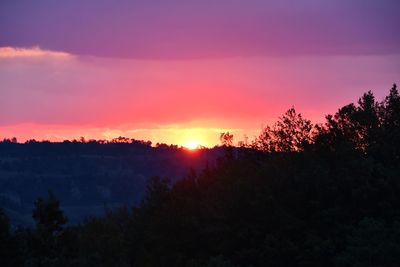 Silhouette trees against sky during sunset