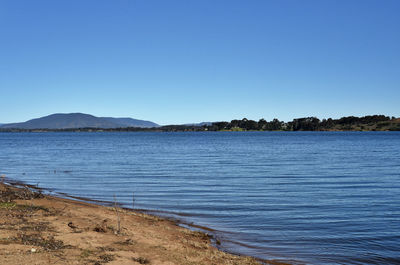 Scenic view of sea against clear blue sky