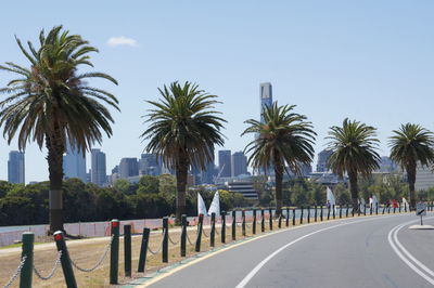 Palm trees in city against clear sky