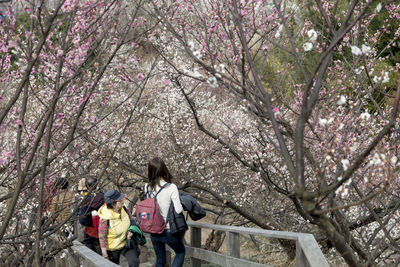 Rear view of people walking on tree