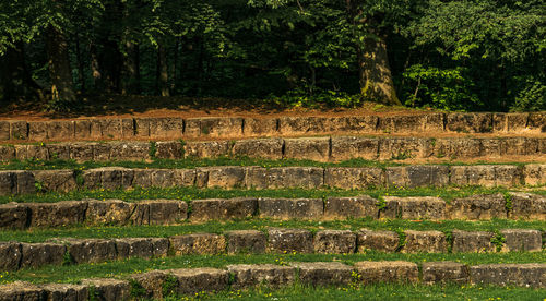 Stone wall in forest