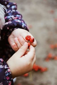 Close-up of hand holding red berries