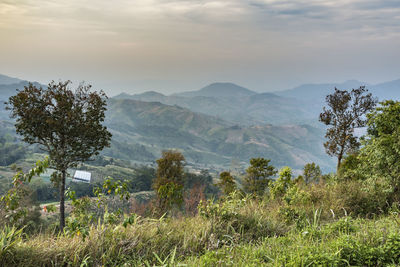 Mountain view at khun sathan national park, nan, thailand