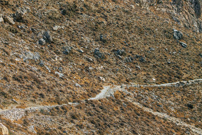 Full frame shot of rock on land