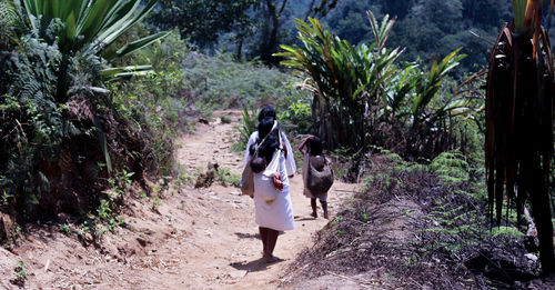 Rear view of man walking on dirt road