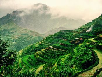 High angle view of green landscape against sky