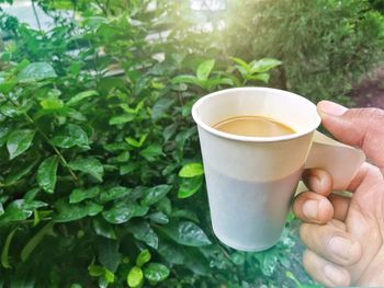 Cropped image of person holding coffee cup