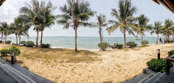 Palm trees on beach against sky