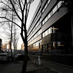 Cars on road in city against sky