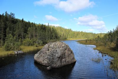 Scenic view of river amidst trees in forest against sky