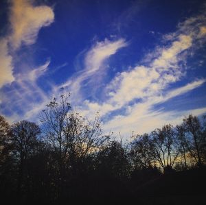 Low angle view of trees against cloudy sky