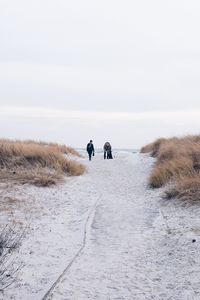 People walking on landscape