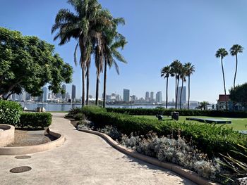 View of palm trees and buildings against sky